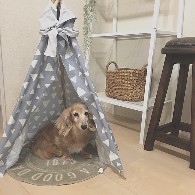 nodokaさんの実例写真