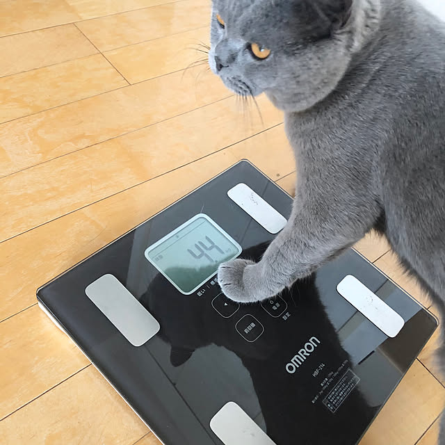 GUMIMINさんの実例写真