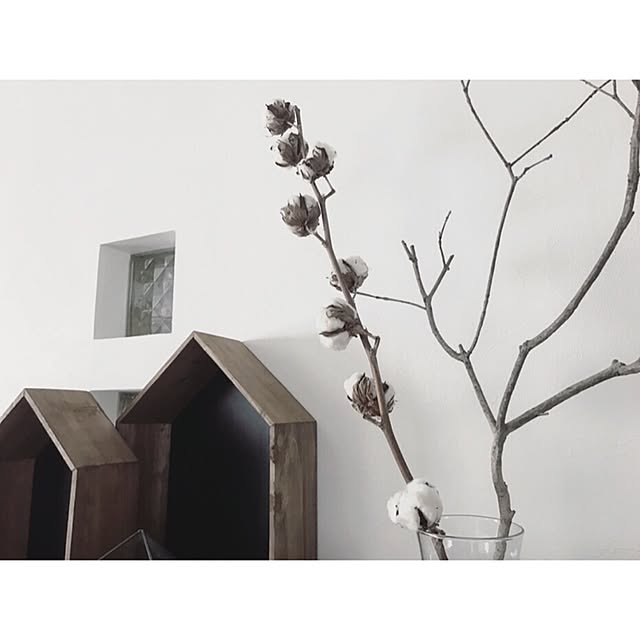 kaorii.tさんの実例写真