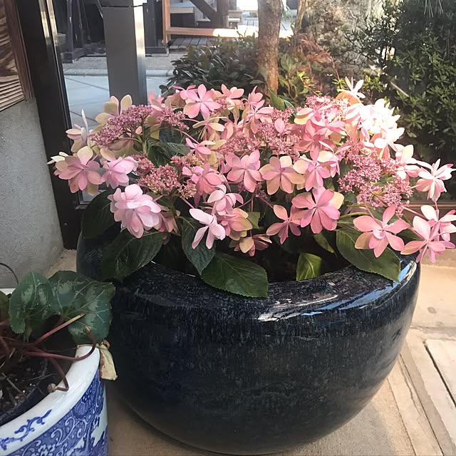 実例写真