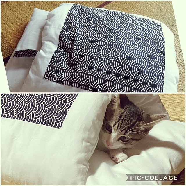 teruminさんの実例写真