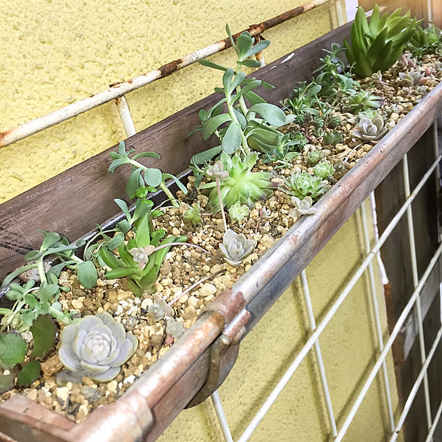 natulove0418さんの実例写真