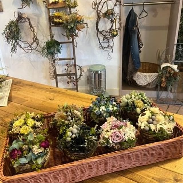 noaさんの部屋