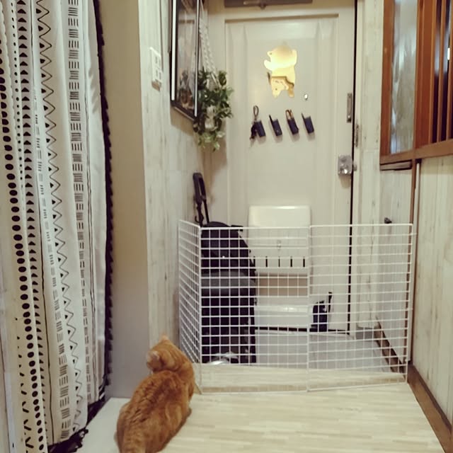 runaさんの実例写真