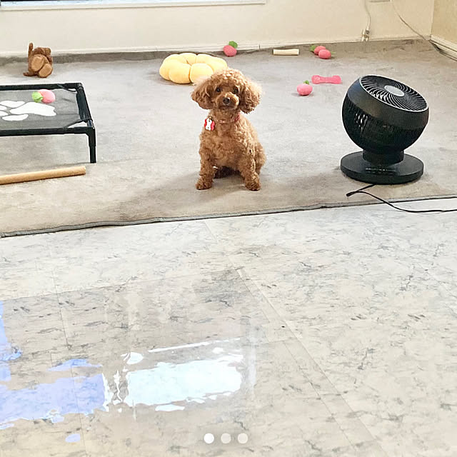 MOMOMAMAさんのお部屋の写真
