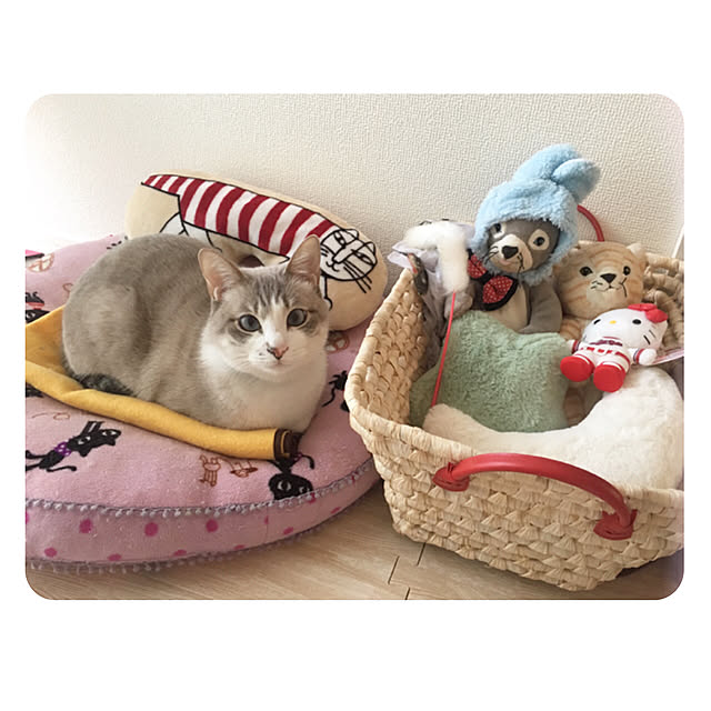 Fukafkaさんの実例写真
