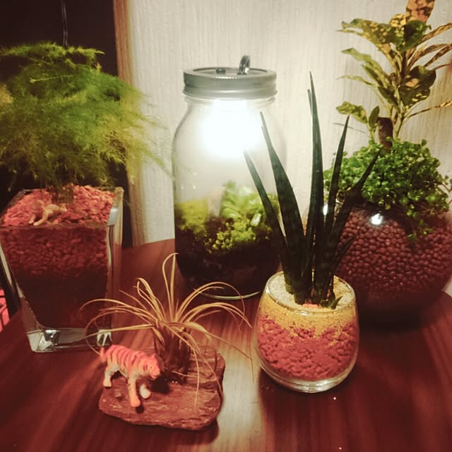 take83さんの実例写真