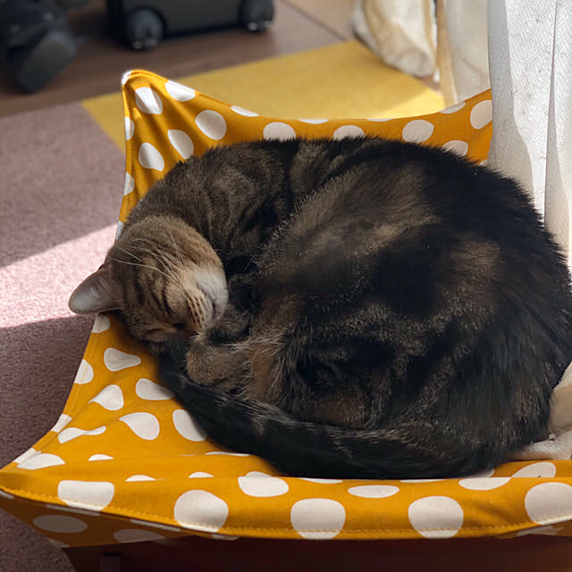 mikomaruさんの実例写真
