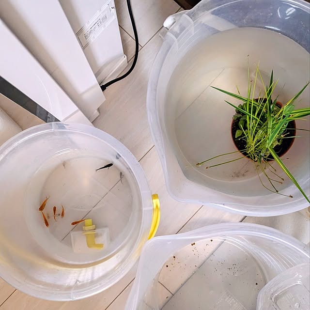 mi-saさんの部屋