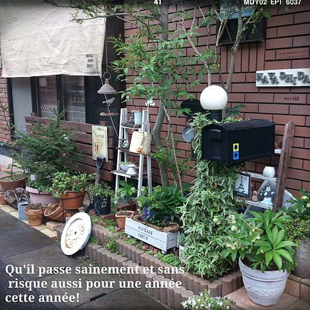 cedarrosemamさんの実例写真