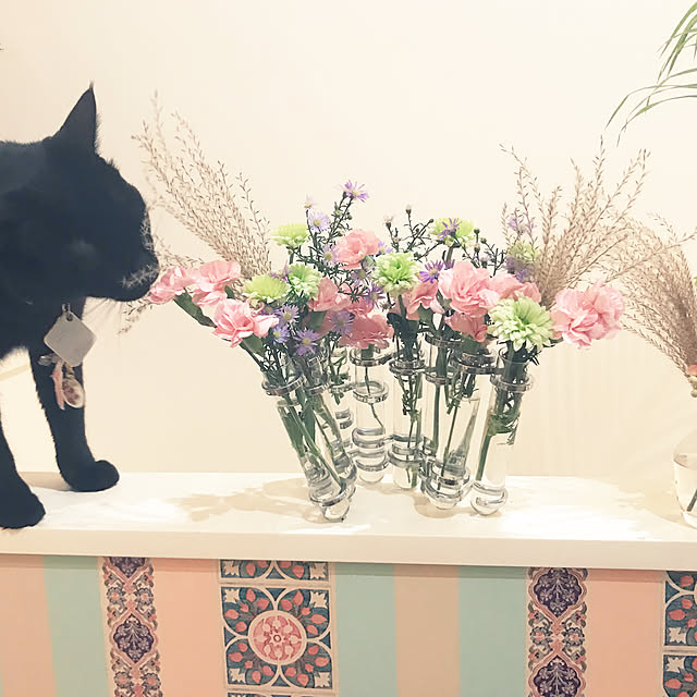 jucakikkaさんの実例写真