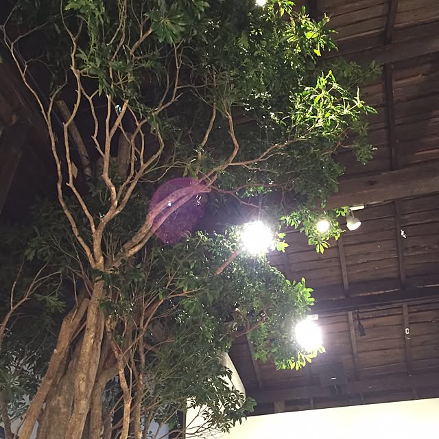 GreenWorksさんの実例写真