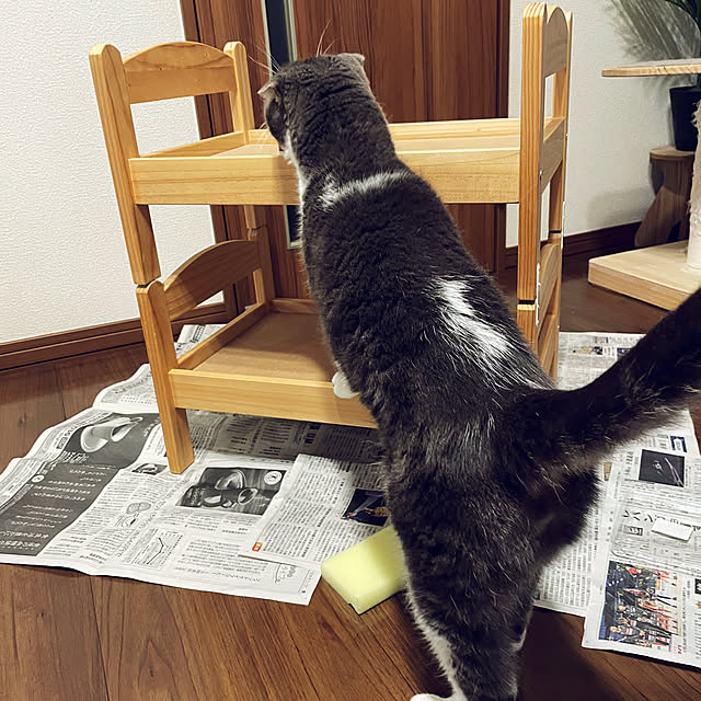 tansukeさんの部屋