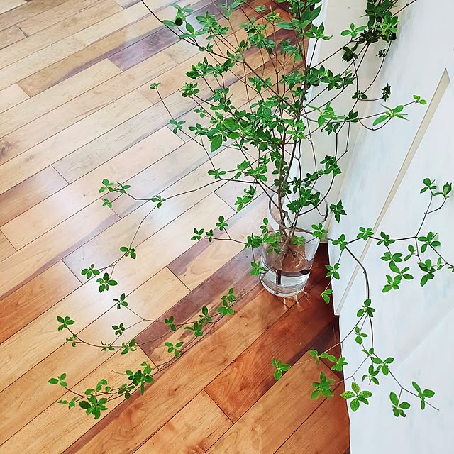 a.co.さんの部屋