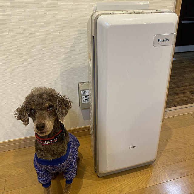プラズィオン/空気洗浄機/シンプルな暮らし/ねこと暮らす。/猫のいる暮らし...などのインテリア実例 - 2022-01-21 19:16:15