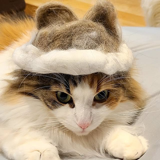 akiko6193さんの実例写真