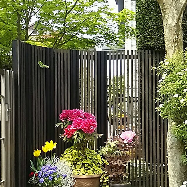 tenntennさんの実例写真