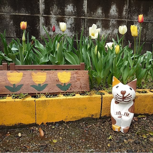 fukuさんの部屋