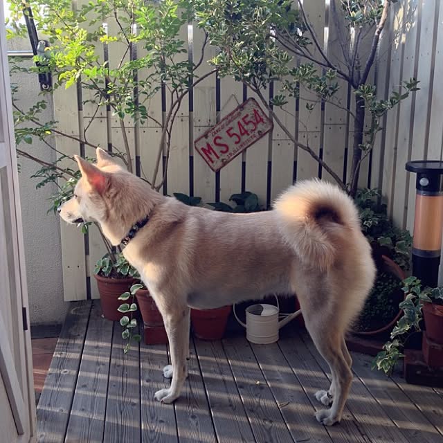 leonaさんの実例写真
