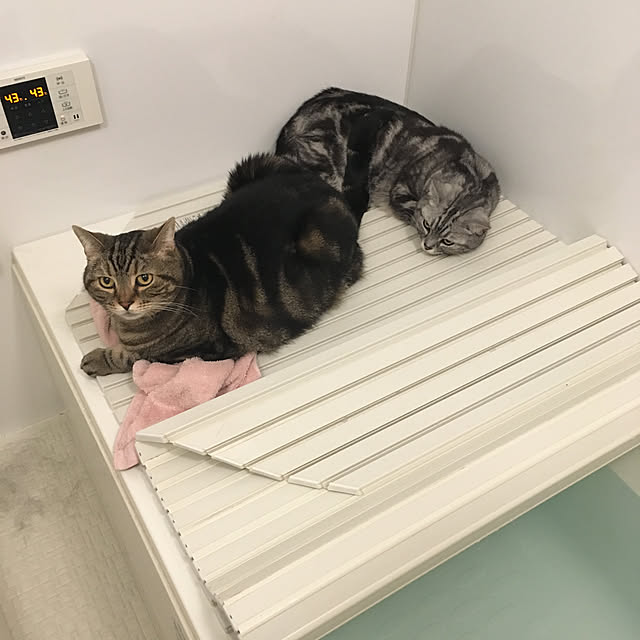 mikomaruさんの実例写真