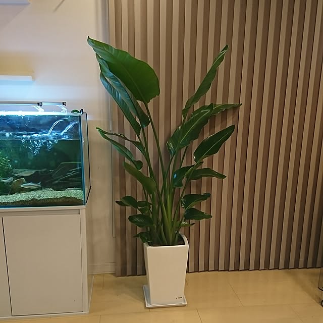 Keisukeさんの実例写真