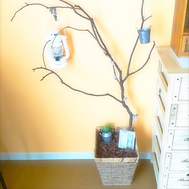 sakiさんの実例写真