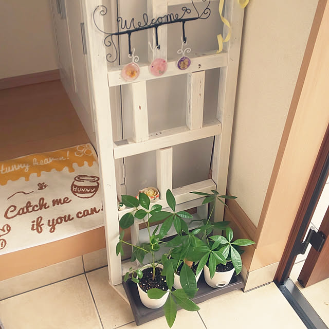 mmpoohさんの実例写真