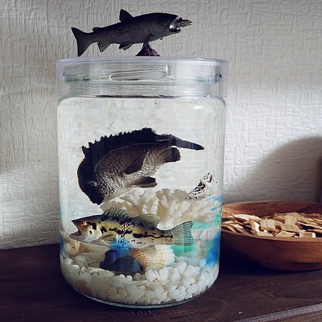 TeKmYnさんの部屋
