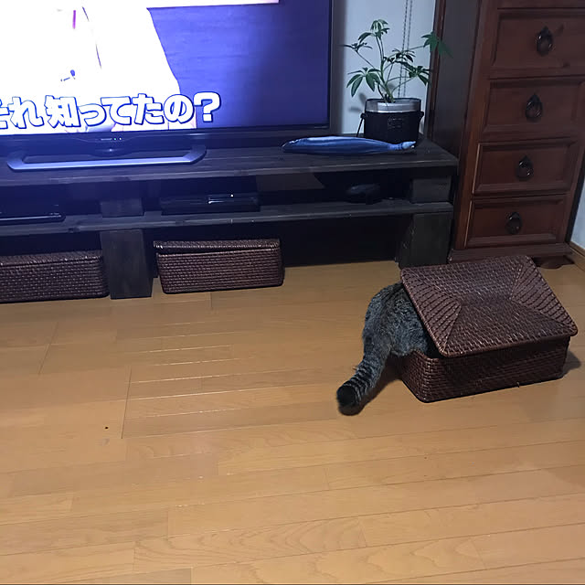 mikan161さんの実例写真