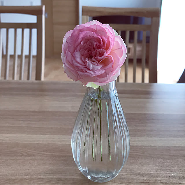 tabinekoさんの実例写真