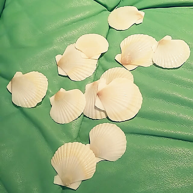 sunflowerさんの実例写真