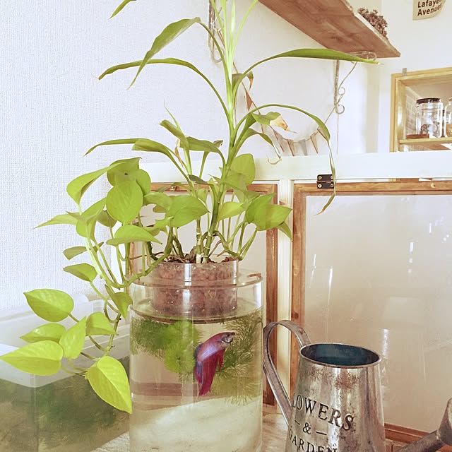 mymさんの実例写真