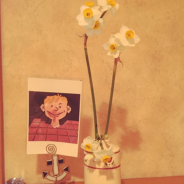 happyslowlifeさんの実例写真