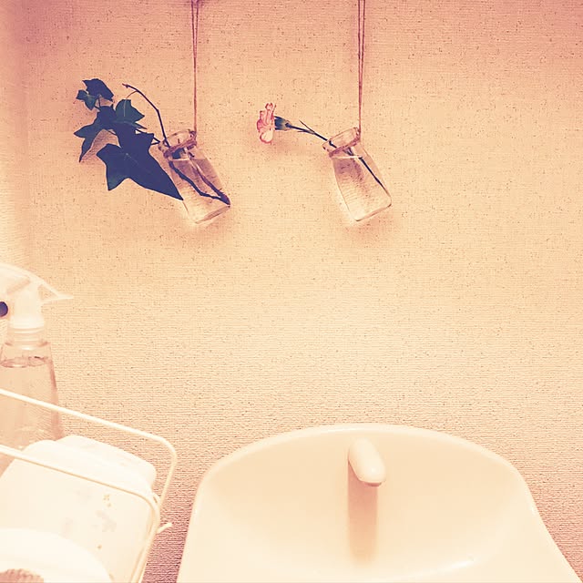 midoriさんの実例写真
