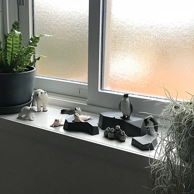 cotocotoさんの実例写真