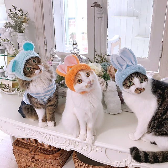 yuchiさんの実例写真