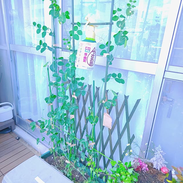 mariaさんの部屋