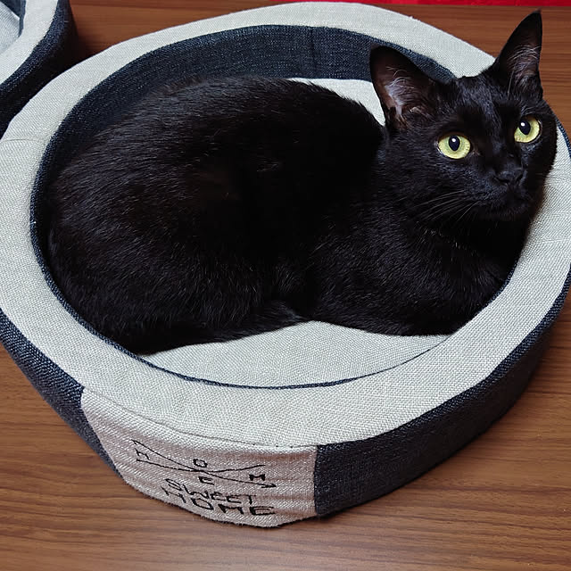 tetumuraさんの実例写真