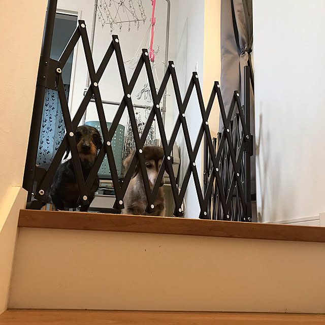 chocococoaさんの実例写真