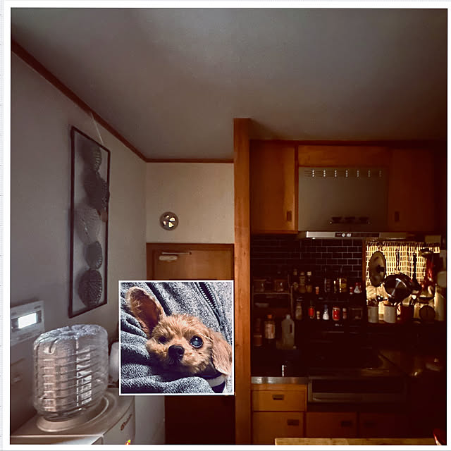 chacoさんの実例写真
