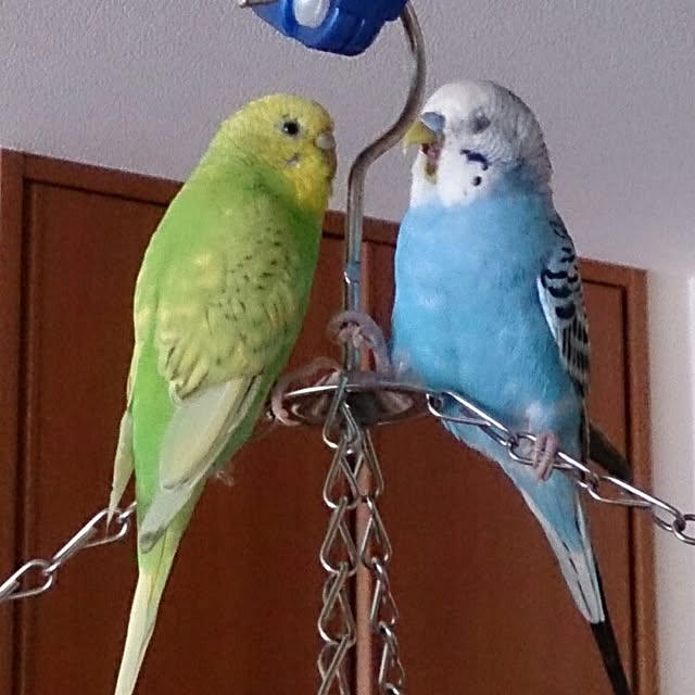 hiroemon58さんの実例写真