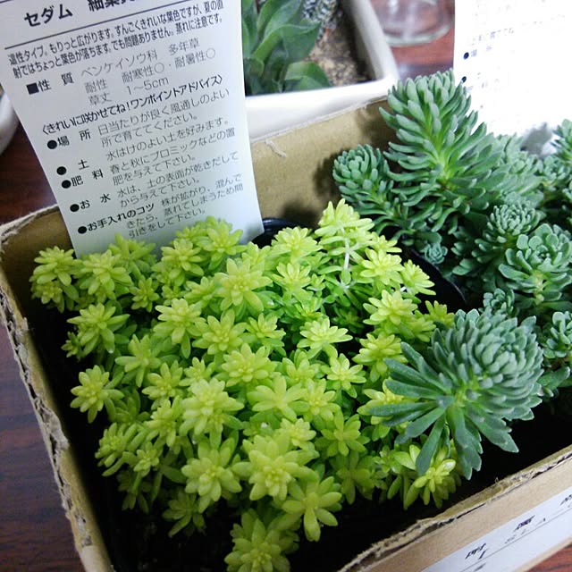 aiさんの実例写真
