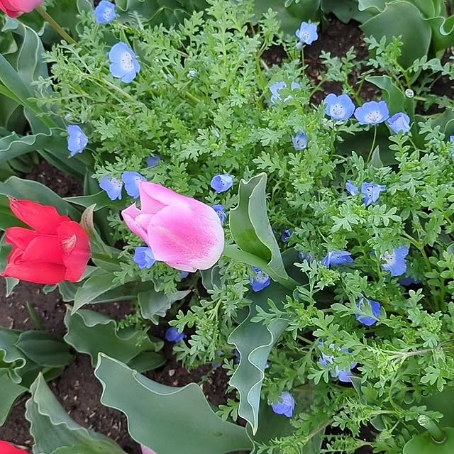 minnieさんの部屋