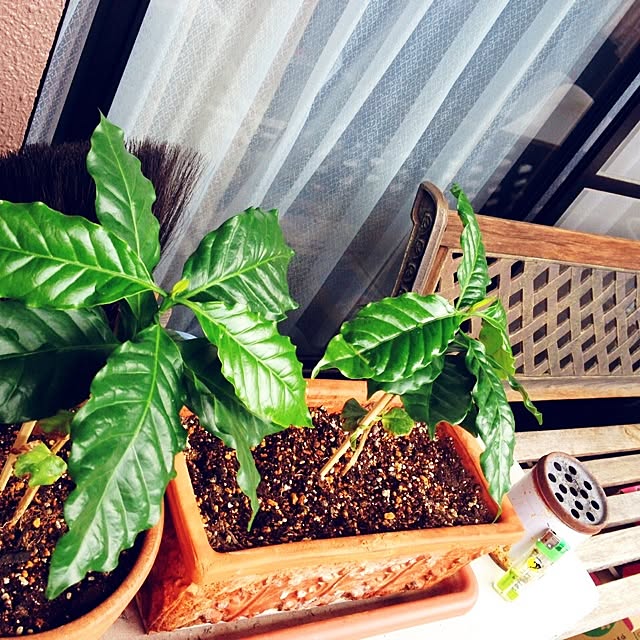Aiさんの実例写真