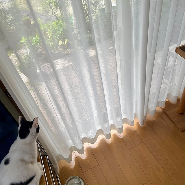 nobikoさんの部屋