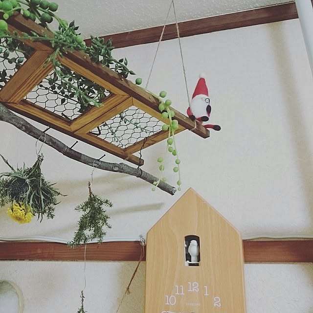 ripさんの実例写真