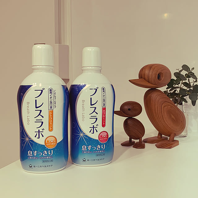 SHOKOさんの実例写真
