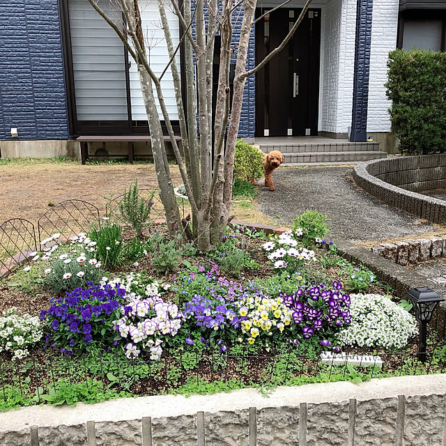 blueberryさんの実例写真