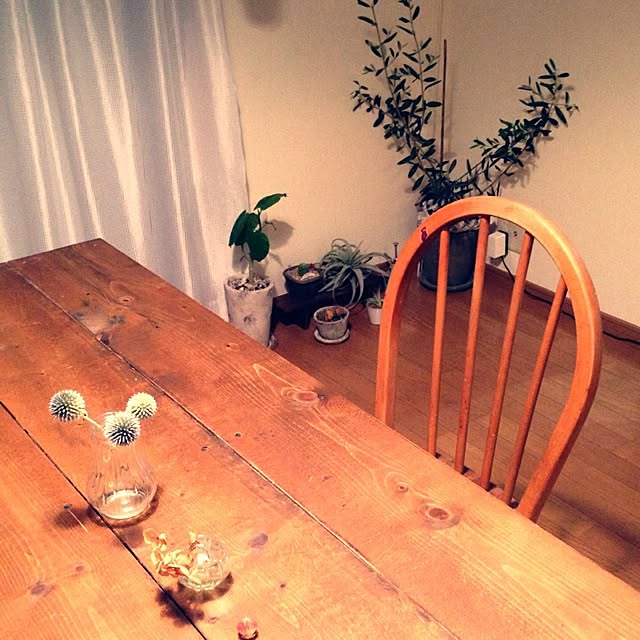 実例写真