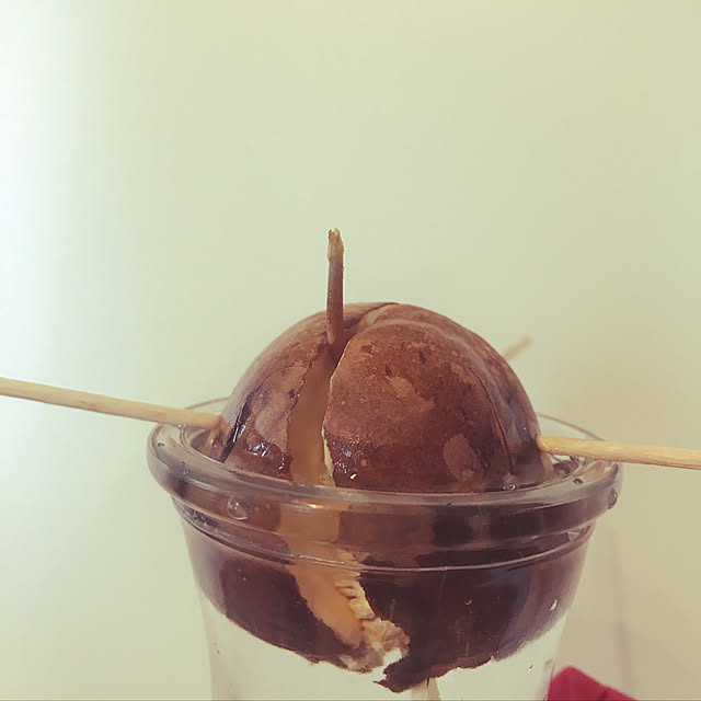 Cocoaさんの実例写真